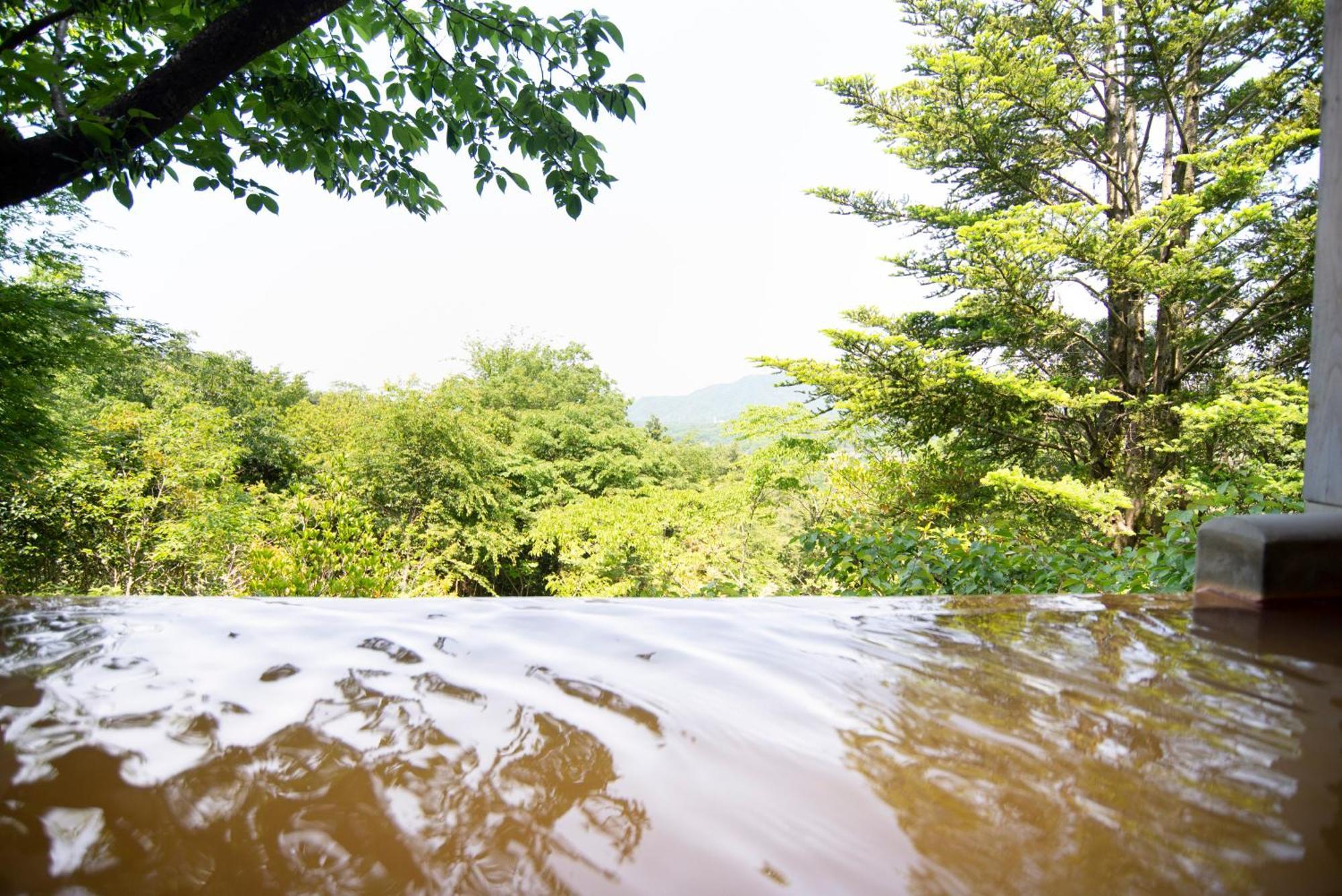 Arima Onsen Motoyu Ryuusenkaku Otel Kobe Oda fotoğraf