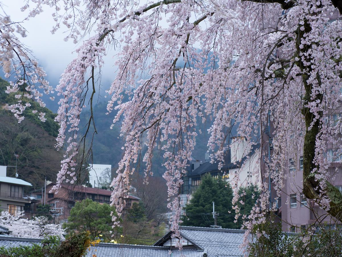 Arima Onsen Motoyu Ryuusenkaku Otel Kobe Dış mekan fotoğraf