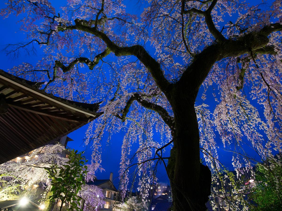 Arima Onsen Motoyu Ryuusenkaku Otel Kobe Dış mekan fotoğraf